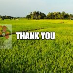 thank you | THANK YOU | image tagged in 1 | made w/ Imgflip meme maker