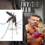 The Invisible Man John Cena You Can't See Me | image tagged in the invisible man john cena you can't see me | made w/ Imgflip meme maker