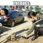 Trying to catch bugs | ME: WHY CAN'T I CATCH THIS BUGS!? THE BUGS: | image tagged in i'm very smoll,memes,bugs | made w/ Imgflip meme maker