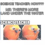 Listen here you little shit | SCIENCE TEACHER: THERE'S MORE WATER THAN LAND; ME: NO, THAT'S NOT TRUE; SCIENCE TEACHER: HOW??? ME: THERE'S MORE LAND UNDER THE WATER; SCIENCE TEACHER | image tagged in listen here you little shit | made w/ Imgflip meme maker