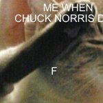 press f cat | ME WHEN CHUCK NORRIS DIES; F | image tagged in press f cat | made w/ Imgflip meme maker