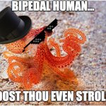 Sir octopus | BIPEDAL HUMAN... DOST THOU EVEN STROLL | image tagged in sir octopus | made w/ Imgflip meme maker