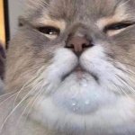 Your Face After The Best Oral Sex Of Her Life