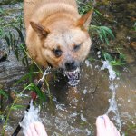 Your Face After The Best Oral Sex Of Her Life