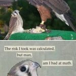 Calculated risk meme
