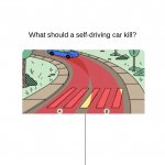 What should a Self-Driving Car Kill?