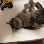 Artemis_sink