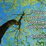 Sky Poems | "Trees are poems the earth writes upon the sky."; ~ Kahlil Gibran | image tagged in tree,sky,kahlil gibran | made w/ Imgflip meme maker