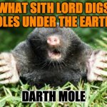 SITH DIGGER | WHAT SITH LORD DIGS HOLES UNDER THE EARTH? DARTH MOLE | image tagged in mole | made w/ Imgflip meme maker