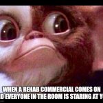 Gizmo | WHEN A REHAB COMMERCIAL COMES ON AND EVERYONE IN THE ROOM IS STARING AT YOU | image tagged in gizmo | made w/ Imgflip meme maker