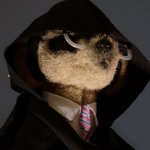 Meerkat | WORLD DOMINATION; AUTOMATED! | image tagged in dark sergei | made w/ Imgflip meme maker