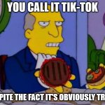 Steamed Hams | YOU CALL IT TIK-TOK; DESPITE THE FACT IT'S OBVIOUSLY TRASH | image tagged in steamed hams,tik tok | made w/ Imgflip meme maker