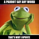 Thanks you for your comments | IT'S SO FUNNY WHEN A PARROT SAY ANY WORD; THAT'S WHY I UPVOTE ALL YOUR COMMENTS ON MY MEMES | image tagged in kermit smiling,memes,funny,parrot,meme comments | made w/ Imgflip meme maker