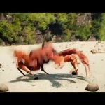 Crab Rave GIF Template