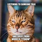 that face you make eyeroll cat | LISTENING TO SOMEONE TALK; AND EVERY THIRD WORD IS "Y'KNOW" | image tagged in that face you make eyeroll cat | made w/ Imgflip meme maker