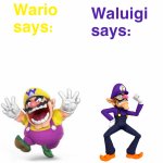 Views on Wario and Waluigi