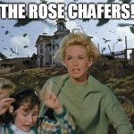 The Rose Chafers | THE ROSE CHAFERS! | image tagged in the birds | made w/ Imgflip meme maker