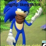 i like sonic | when someone on imglfip likes tiktok; your kidding right | image tagged in you're kidding right | made w/ Imgflip meme maker