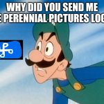 Why did you do that Luigi | WHY DID YOU SEND ME THE PERENNIAL PICTURES LOGO? | image tagged in why did you do that luigi | made w/ Imgflip meme maker