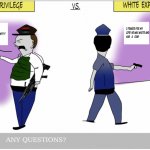 BLACK PRIVILEGE AND RACIAL PROFILING MEME