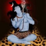 Lord Shiva