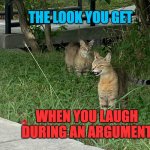 Ha ha, uh no. | THE LOOK YOU GET; WHEN YOU LAUGH DURING AN ARGUMENT | image tagged in googe the cat laughing,ha,laugh,argument,look | made w/ Imgflip meme maker