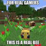 Bees to Gamers | FOR REAL GAMERS; THIS IS A REAL BEE | image tagged in minecraft bees | made w/ Imgflip meme maker