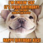 French Bulldog | I'M SMILIN' CUZ IT'S YOUR BIRTHDAY! ...AND YOU DON'T LOOK A YEAR OLDER! HAPPY BIRTHDAY, KAS! | image tagged in french bulldog | made w/ Imgflip meme maker