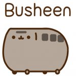 Busheen