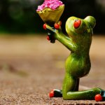 Frog Gives You Flowers