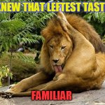 Lion licking himself | I KNEW THAT LEFTEST TASTED; FAMILIAR | image tagged in lion licking himself | made w/ Imgflip meme maker