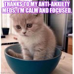 Calm, focused, and ready for another day of being calm and focused. | THANKS TO MY ANTI-ANXIETY MEDS, I'M CALM AND FOCUSED. | image tagged in sad kitten in food bowl,memes,calm and focused,thanks | made w/ Imgflip meme maker