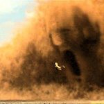 Mummy Sand Storm