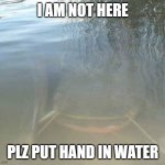 Don't mind me | I AM NOT HERE; PLZ PUT HAND IN WATER | image tagged in weird creepy catfish | made w/ Imgflip meme maker