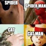 Its true #1 | SPIDER MAN; SPIDER; CAT; CAT MAN | image tagged in animal biter | made w/ Imgflip meme maker