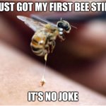 Making This Meme As I'm Crying, Because It Hurts (I'm really not kidding) :'( | I JUST GOT MY FIRST BEE STING; IT'S NO JOKE | image tagged in bee sting,laceyrobbins1 sobbing,i'm sorry bee,the sting was an accident,i need a hug after this | made w/ Imgflip meme maker