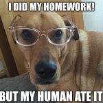 My human ate my homework! | I DID MY HOMEWORK! BUT MY HUMAN ATE IT! | image tagged in smarty dog,memes,cute | made w/ Imgflip meme maker