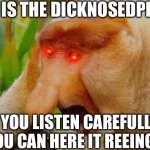 Dicknosedprick | HERE IS THE DICKNOSEDPRICK; IF YOU LISTEN CAREFULLY YOU CAN HERE IT REEING | image tagged in nasalis larvatus | made w/ Imgflip meme maker