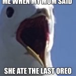 Shocked/Angry Seagull | ME WHEN MY MUM SAID; SHE ATE THE LAST OREO | image tagged in shocked/angry seagull | made w/ Imgflip meme maker
