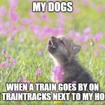 Baby Insanity Wolf | MY DOGS WHEN A TRAIN GOES BY ON THE TRAINTRACKS NEXT TO MY HOUSE | image tagged in memes,baby insanity wolf | made w/ Imgflip meme maker