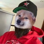 Cheemstar