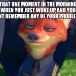 Nick Wilde Bliss | THAT ONE MOMENT IN THE MORNING WHEN YOU JUST WOKE UP AND YOU DONT REMEMBER ANY OF YOUR PROBLEMS | image tagged in nick wilde bliss | made w/ Imgflip meme maker