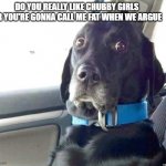 dog | DO YOU REALLY LIKE CHUBBY GIRLS OR YOU'RE GONNA CALL ME FAT WHEN WE ARGUE | image tagged in dog | made w/ Imgflip meme maker