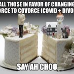 Covorce | ALL THOSE IN FAVOR OF CHANGING DIVORCE TO COVORCE (COVID + DIVORCE); SAY AH CHOO | image tagged in divorce,covid-19 | made w/ Imgflip meme maker