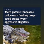 July 2020 Meth Gators meme