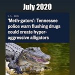 Meth Gators July 2020 | July 2020 | image tagged in july 2020 meth gators | made w/ Imgflip meme maker