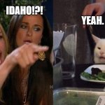 idaho/udaho | IDAHO!?! YEAH. UDAHO. | image tagged in cat a dinner table | made w/ Imgflip meme maker