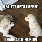 I have a clone now | REALITY GETS FLIPPED; I HAVE A CLONE NOW | image tagged in dog clone,dog,funny dog,confused dog,clone | made w/ Imgflip meme maker