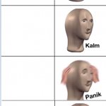 stonks panik