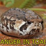 Anger in toad